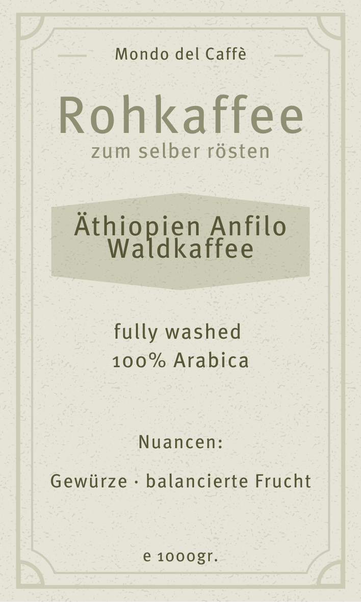 Café éthiopien cru, café de forêt d'Anfilo, lavé, bio
