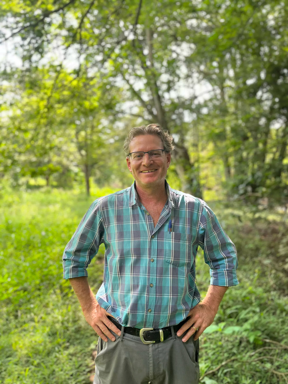 Bild von Oreti Estate