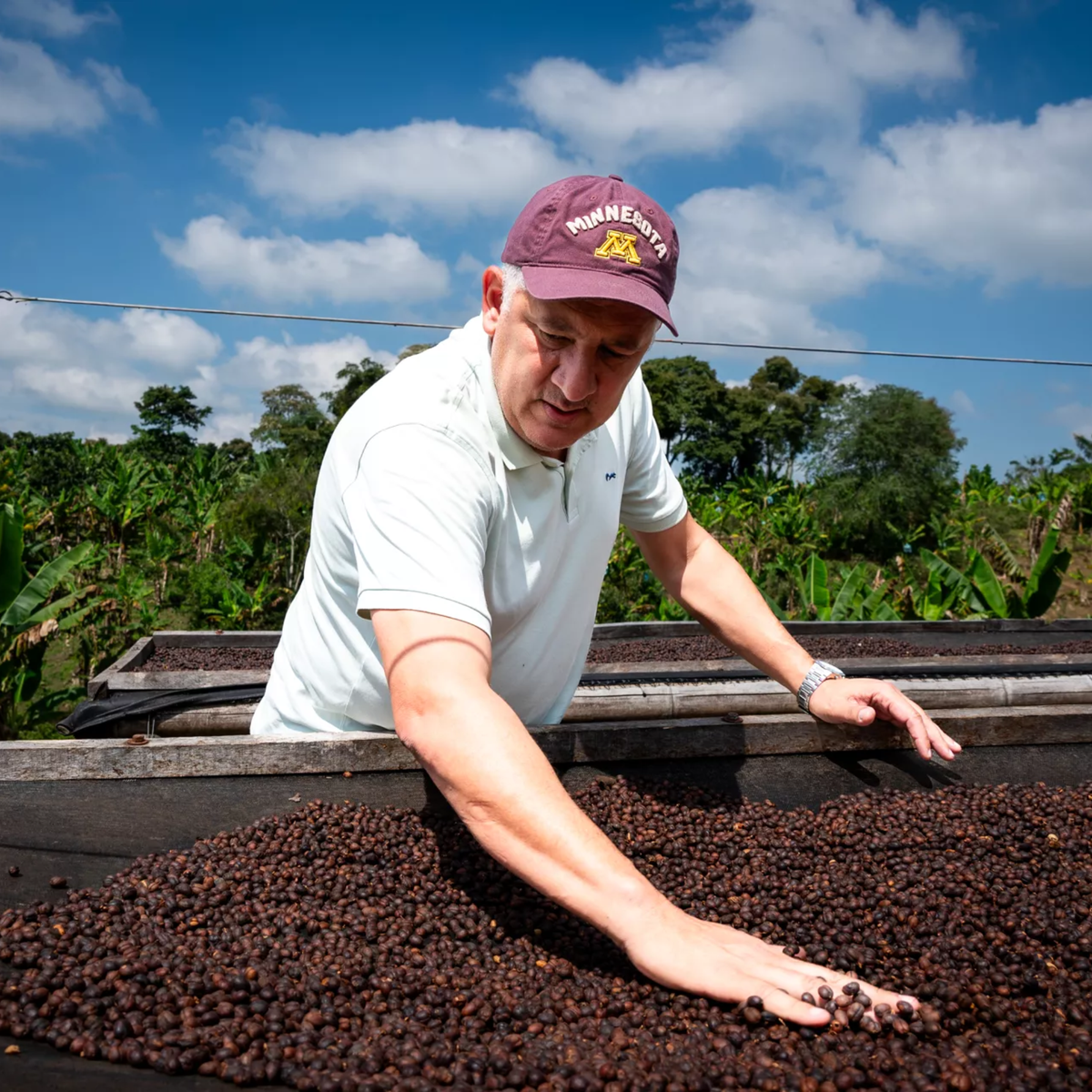 Colombia Pink Bourbon – Buenos Aires