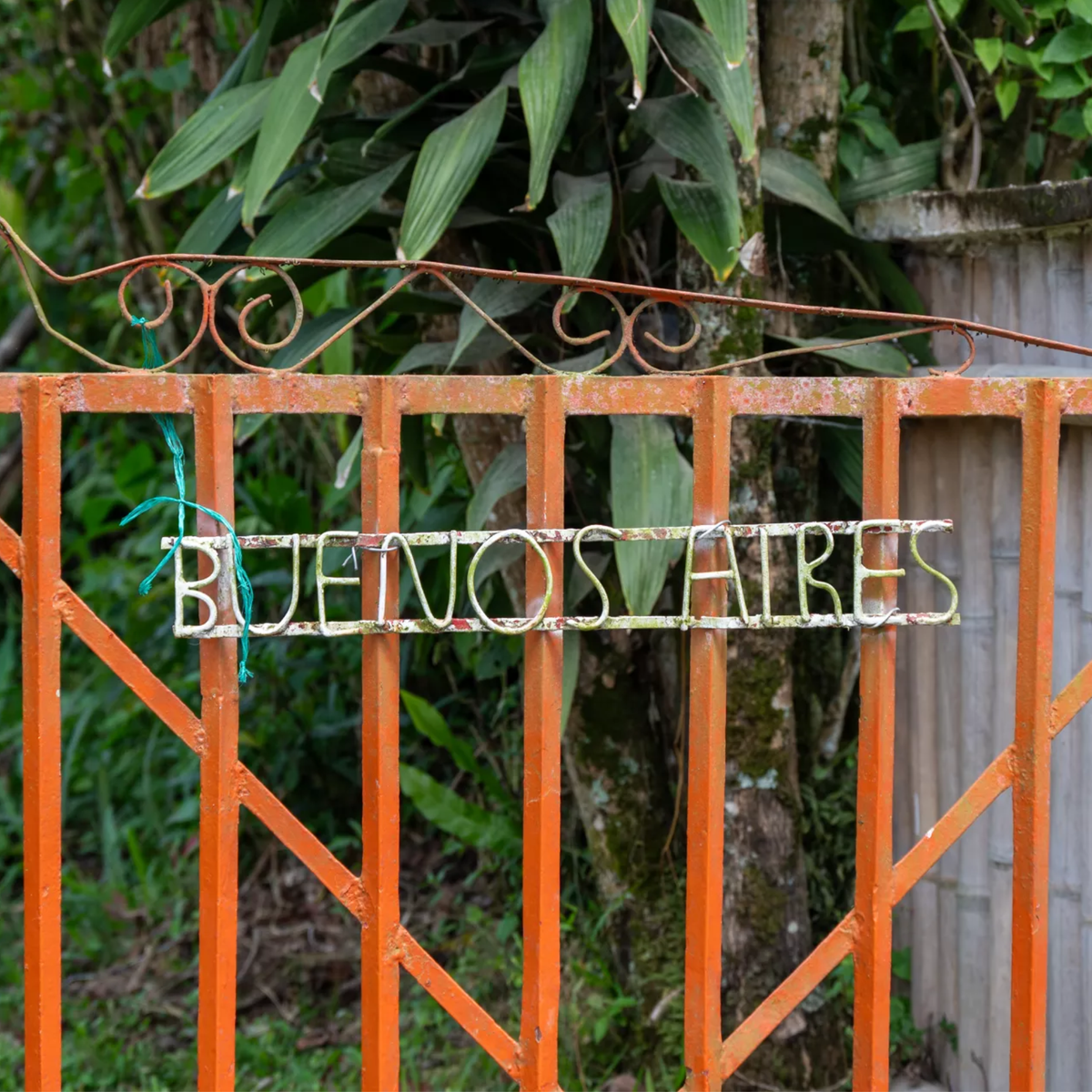 Colombia Pink Bourbon – Buenos Aires