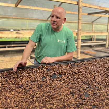 Colombia Pink Bourbon – Buenos Aires