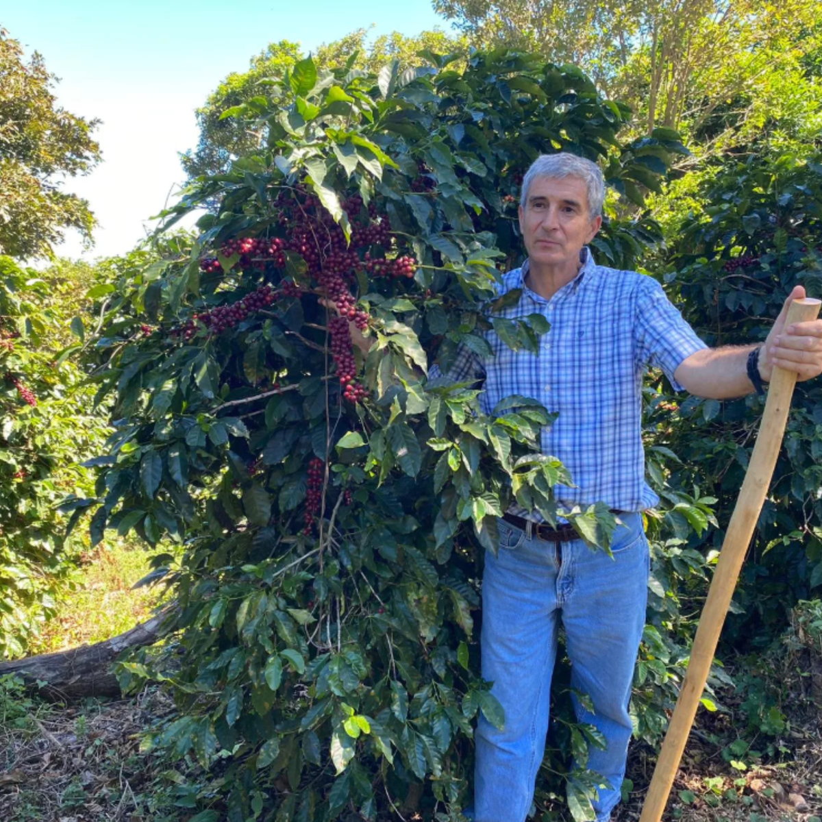 mondodelcaffe-el-salvador-apaneca-ilamatepec-phoenix-shg-farmer
