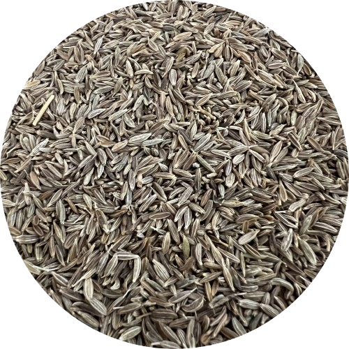 plaisir-bio-kreuzkuemmel-open