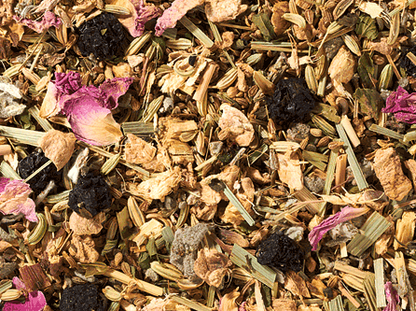 Ingwer Aronia Bio