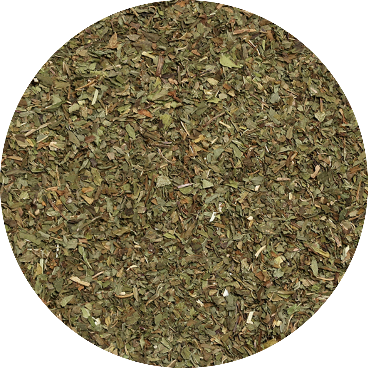 Plaisir Bio Pfefferminze Tee